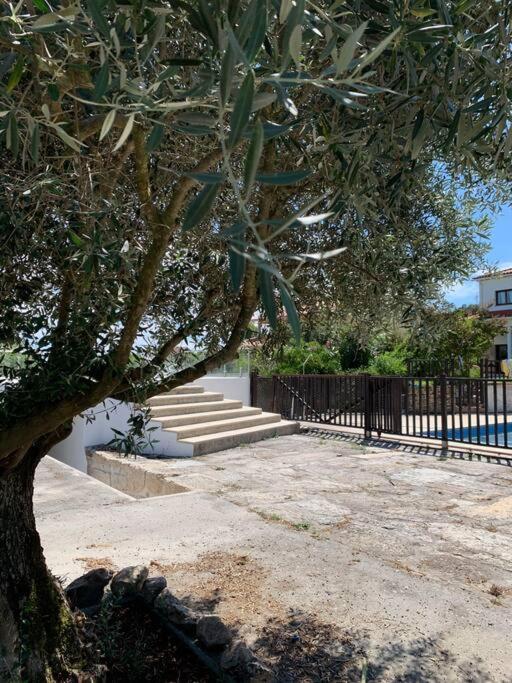 Vila Casa Da Oliveira Nelas Exteriér fotografie